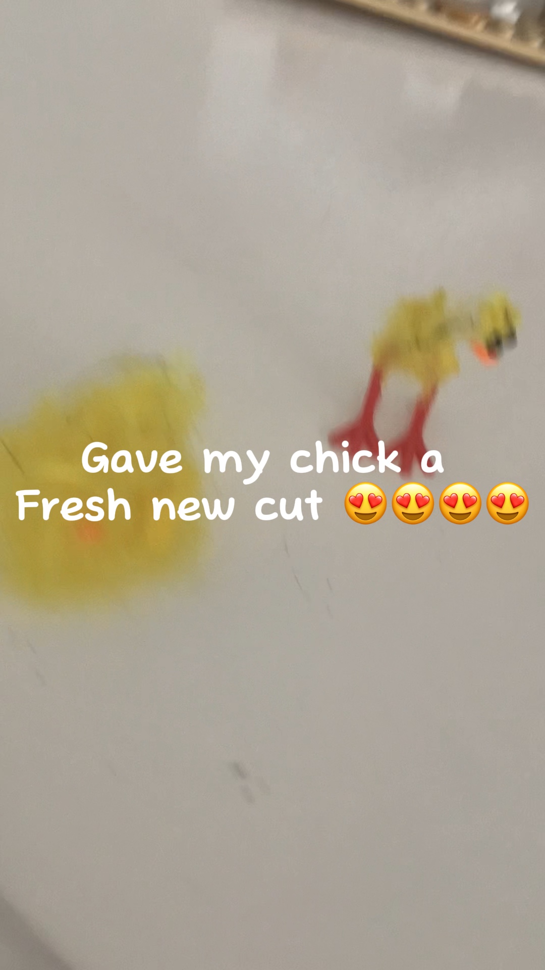 I can’t even 😍💅