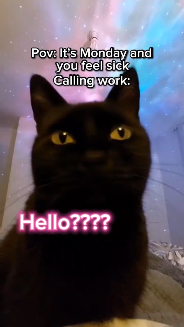 Halo???