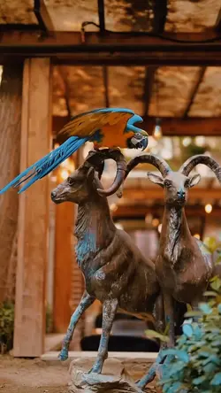 VLOG | ایرانی🇮🇷