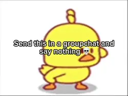Duck meme
