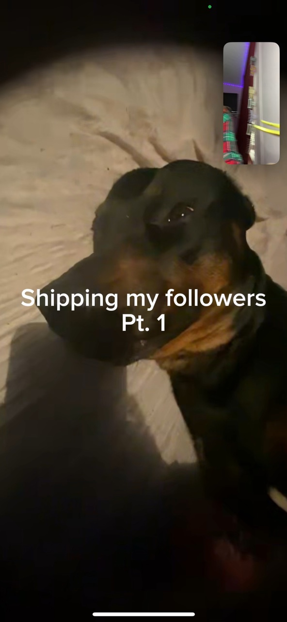Shipping my follower