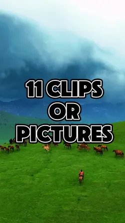 11 clips or pictures