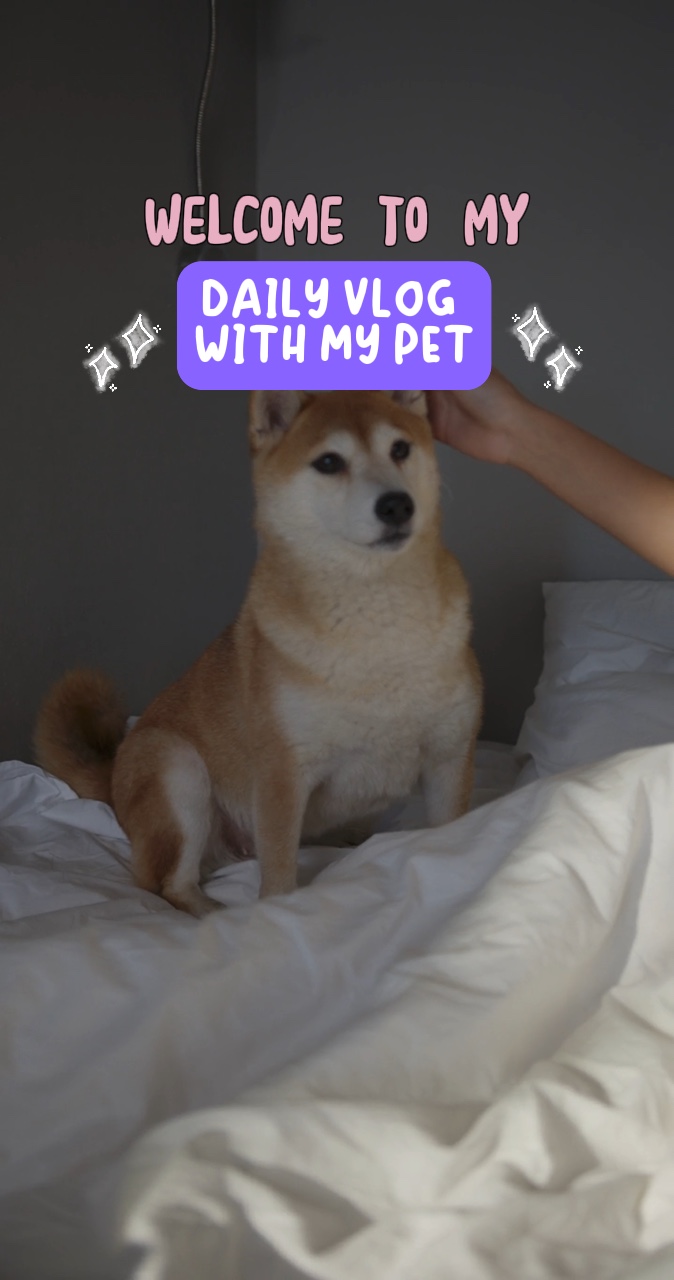 Vlog with my pet 