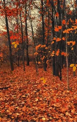 Otoño