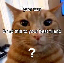 Send this to bff