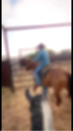 Ranchito 🧑🏼‍🌾🤠