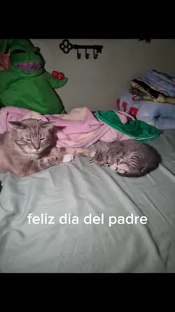 papá