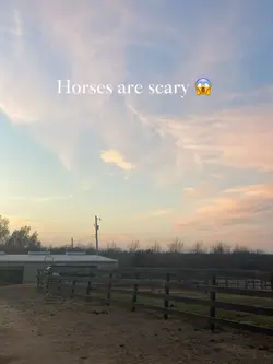 I luv horses