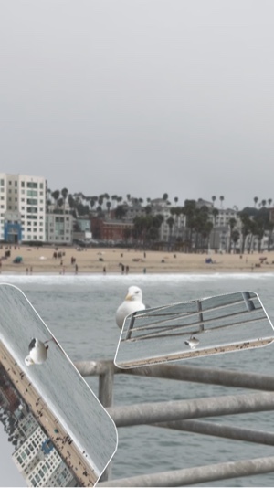 California life 