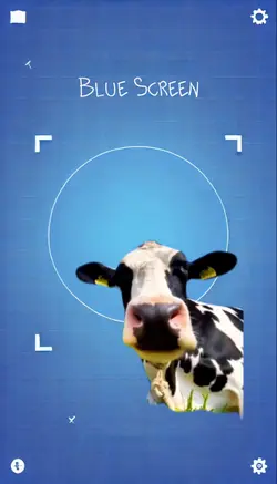 Meme da vaca