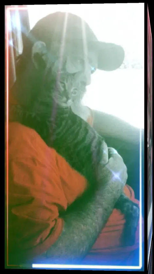 Cover Picture