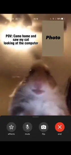 Call 