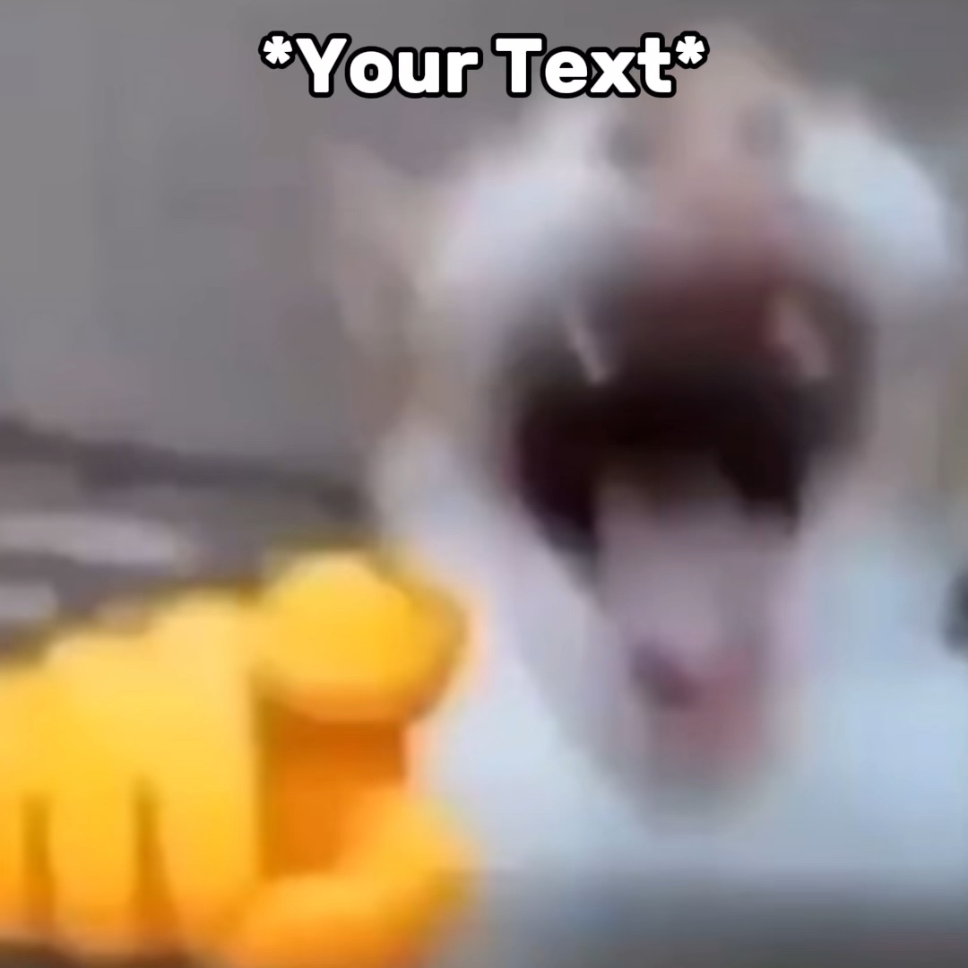 Cat Laughing