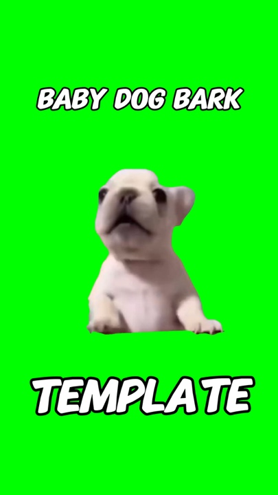 幼犬吠叫 