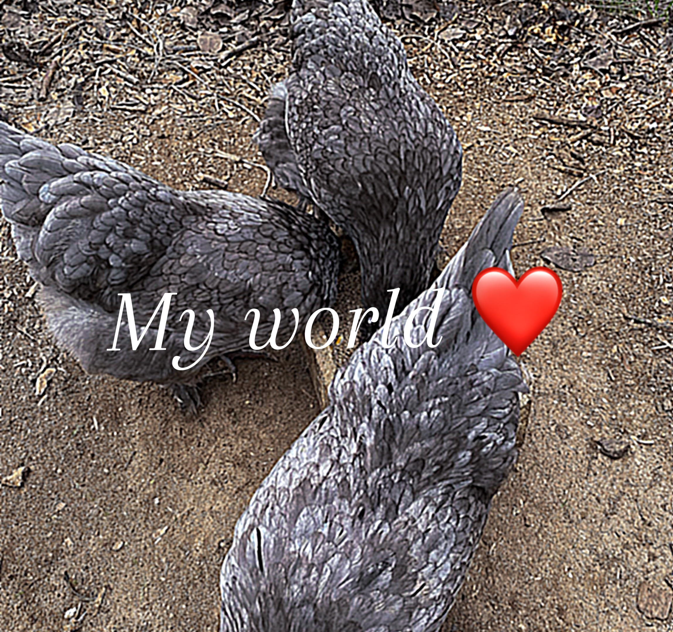 My world 🌎❤️