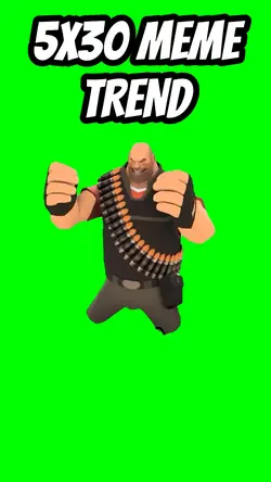 5X30 MEME