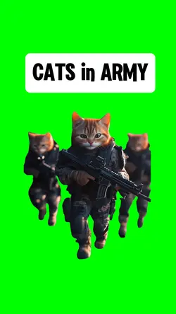 CATS in ARMY