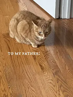 bigger person 