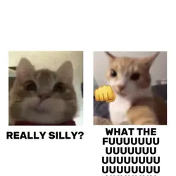 are u rlly silly?? 🫵🏻