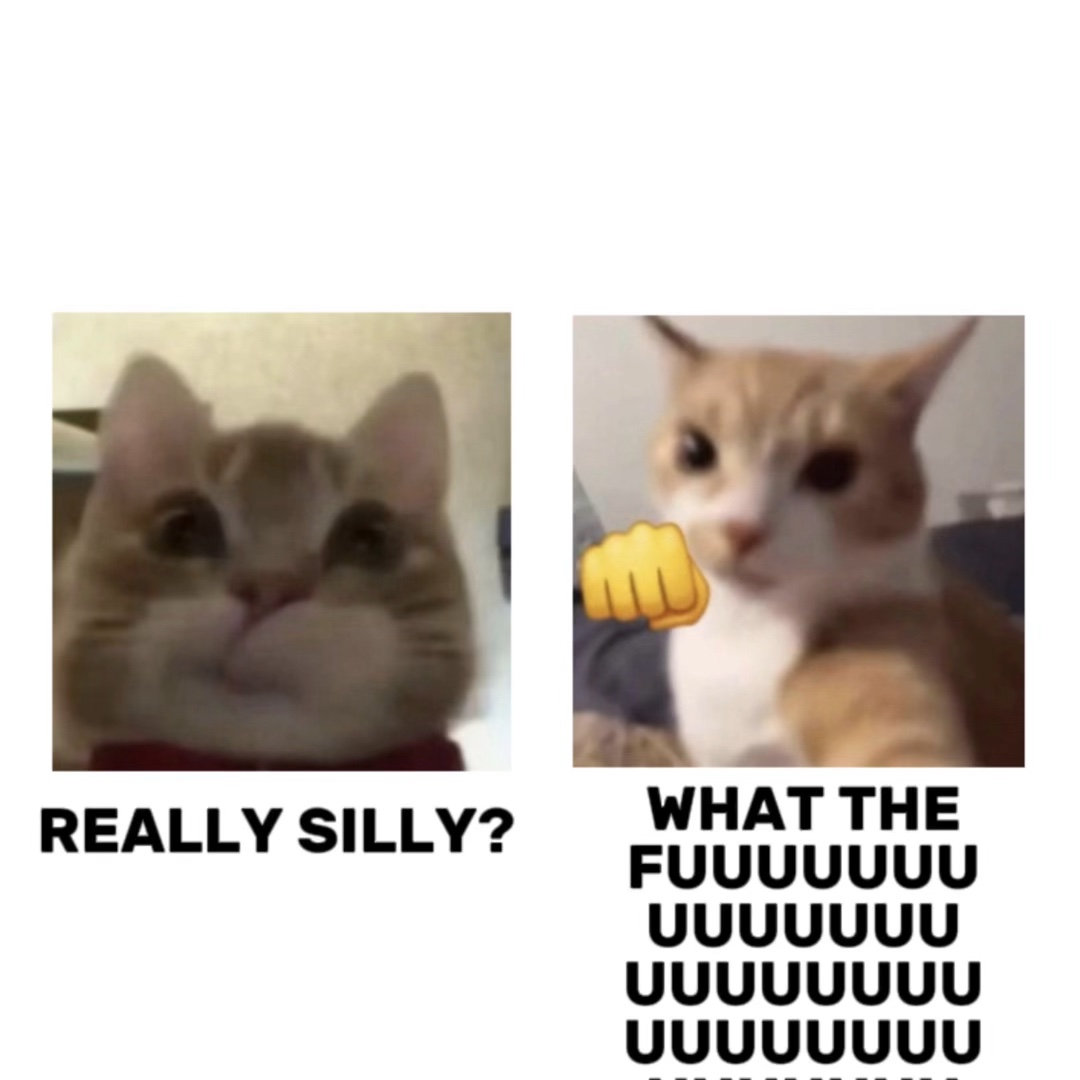 are u rlly silly?? 🫵🏻