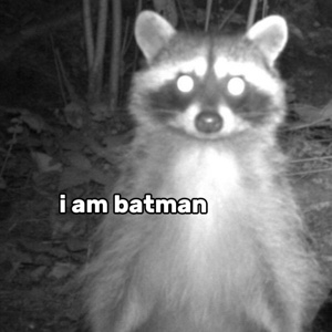 Batman 🤪🥰