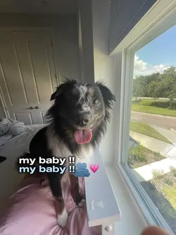 wdym u have a baby?π