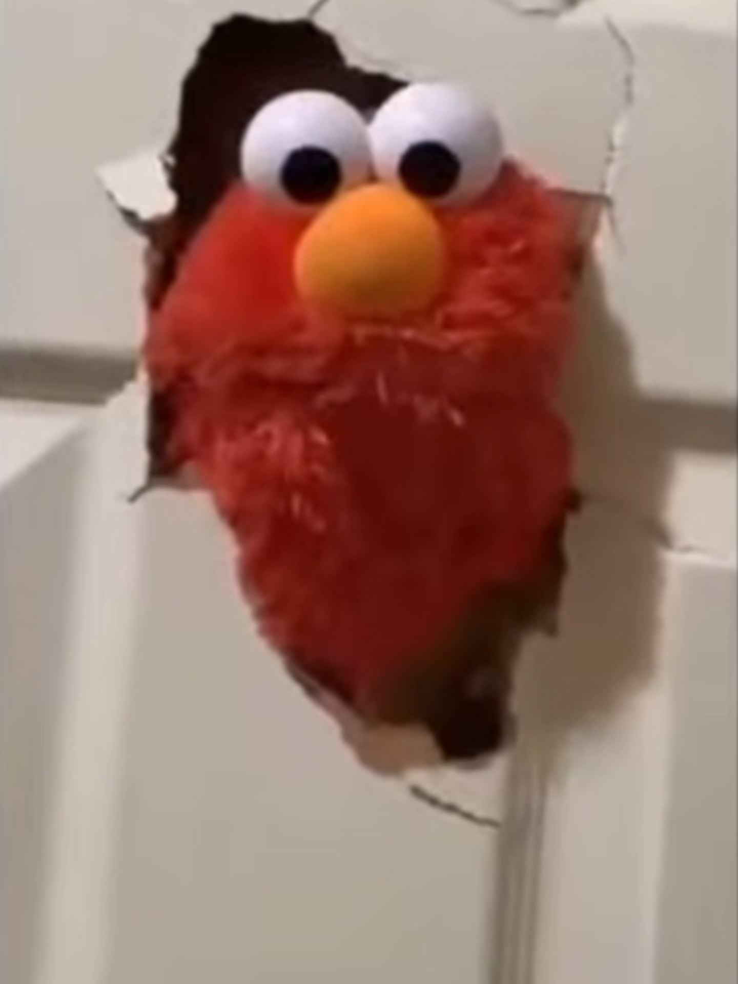 Export and follow!
