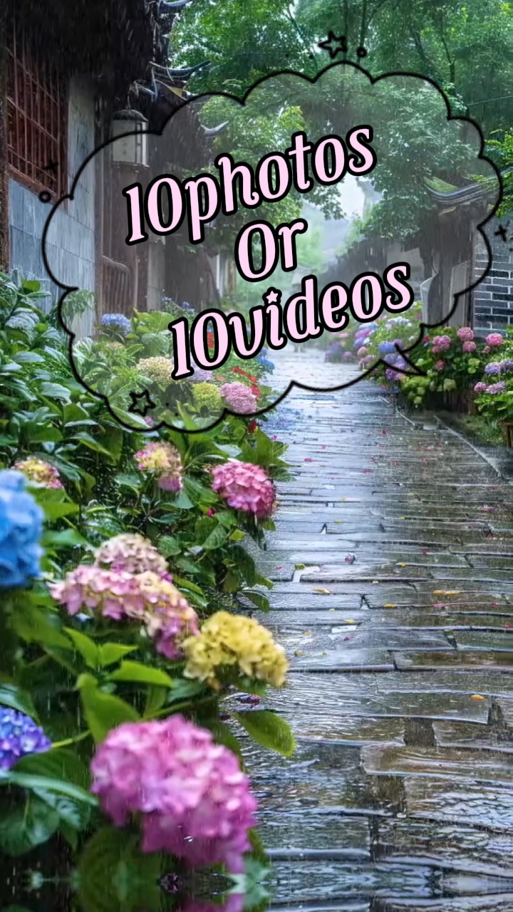 10photos / vidéos