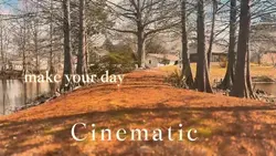 Cinematic