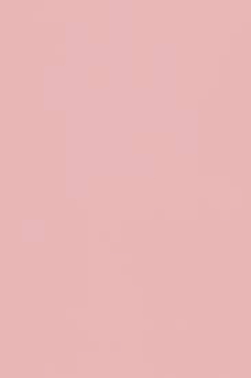 COLOR  FUNK BRASIL