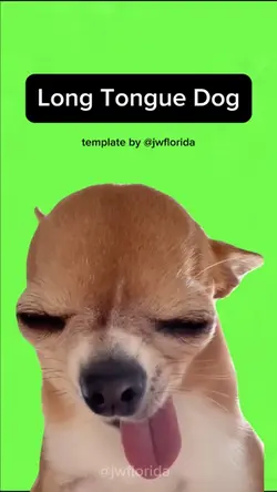 Cute Long Tongue Dog