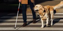 Blind or blind..
