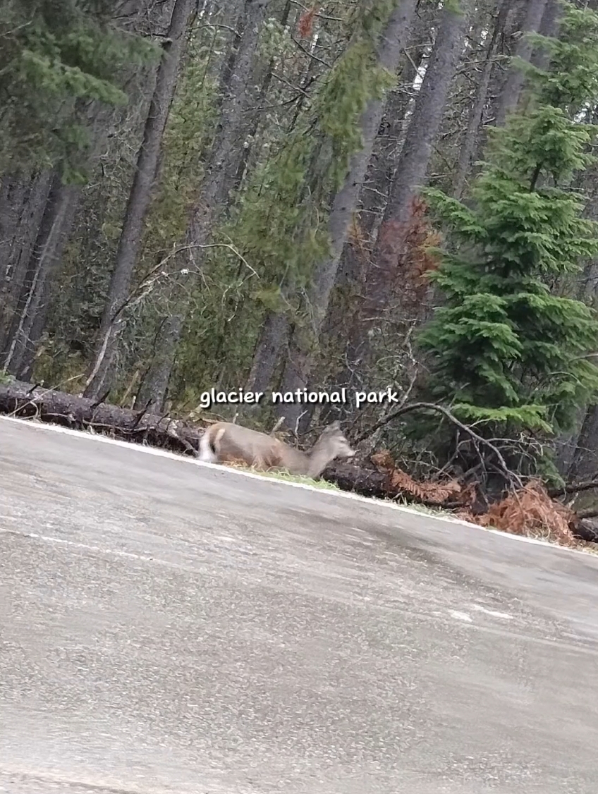 it's so pretty there