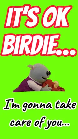 IT’S OK BIRDIE