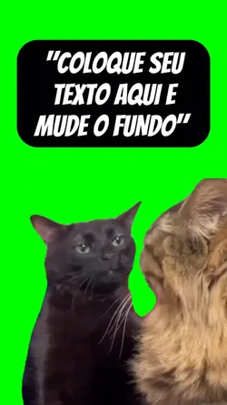 gato preto meme