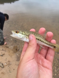 Fishing