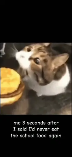 cheesseebuurrgerr