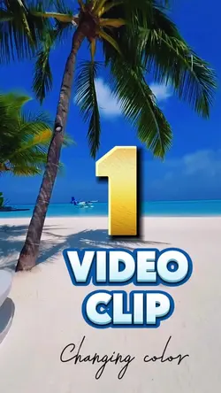 1 video clip