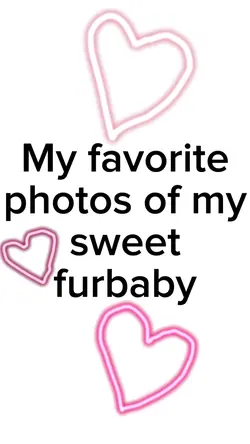 Lil Furbaby