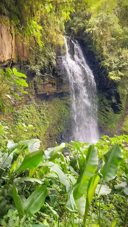 Trilha Cachoeira 🏆