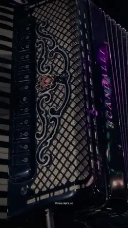 Um palmo do seu umbi