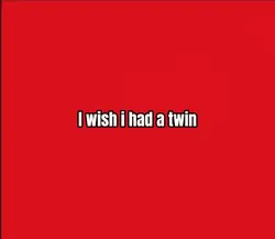 I wish I had a twin