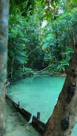 Videos + viagem Free