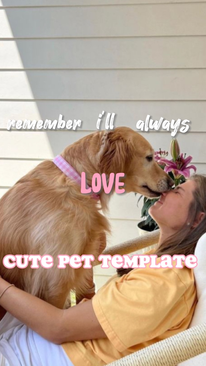 Ich liebe dich immer 🐾