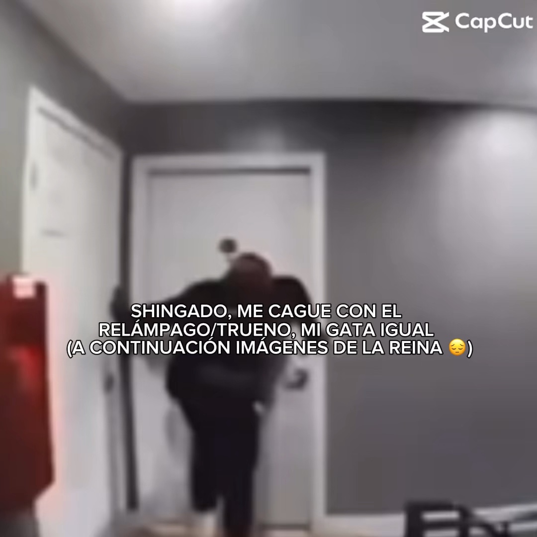 algo random 😐🧑🏻‍🦲