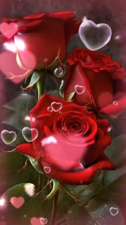 # will always love u