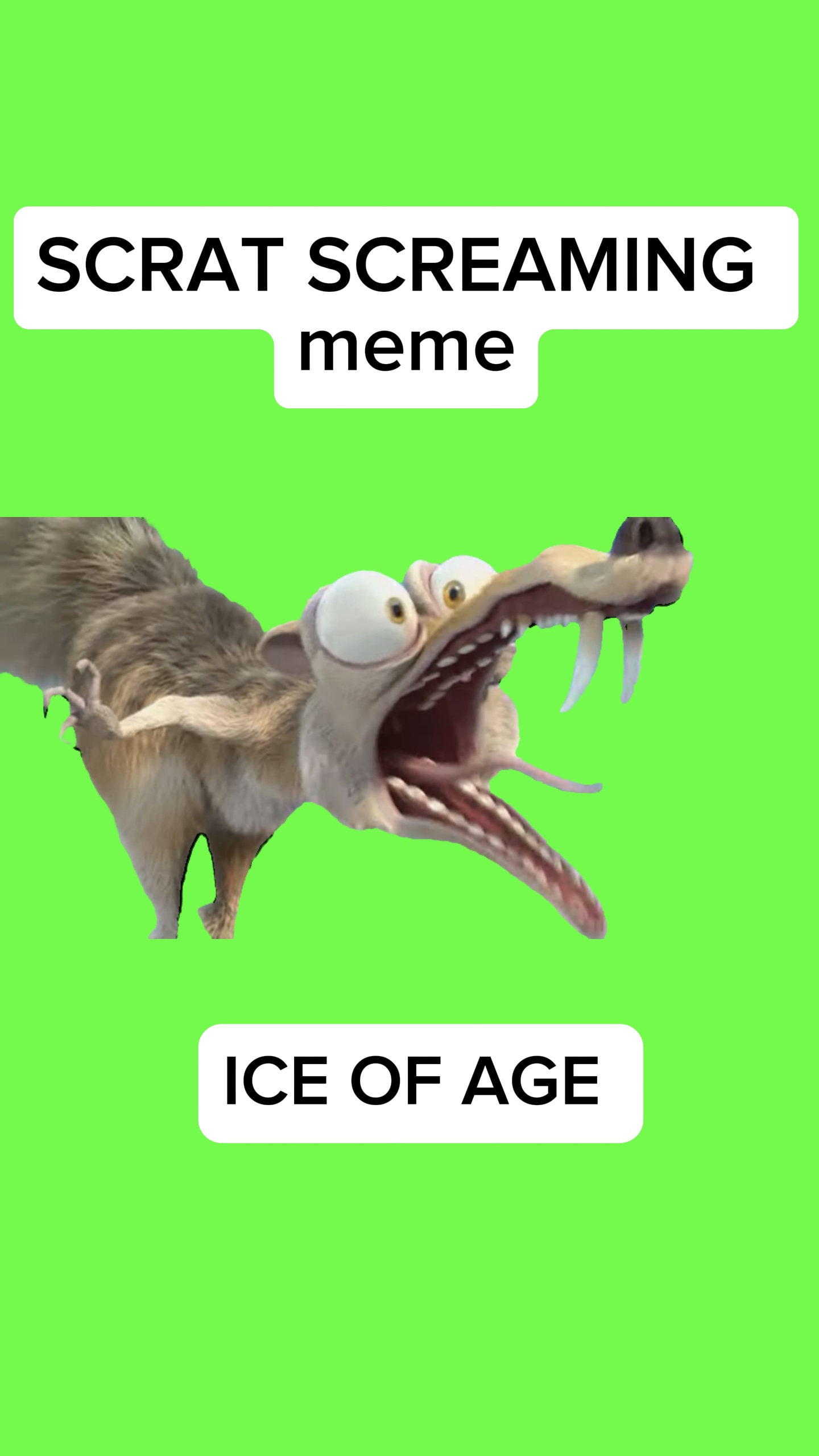 SCRAT GRITOS meme