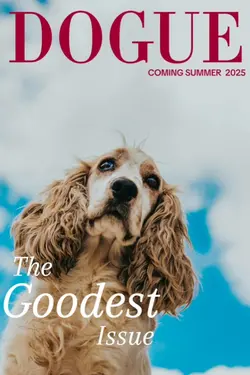 DOGUE Coming 2025