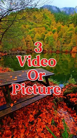 3 video or picture