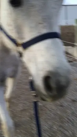 Beautiful boy😍❤️ 